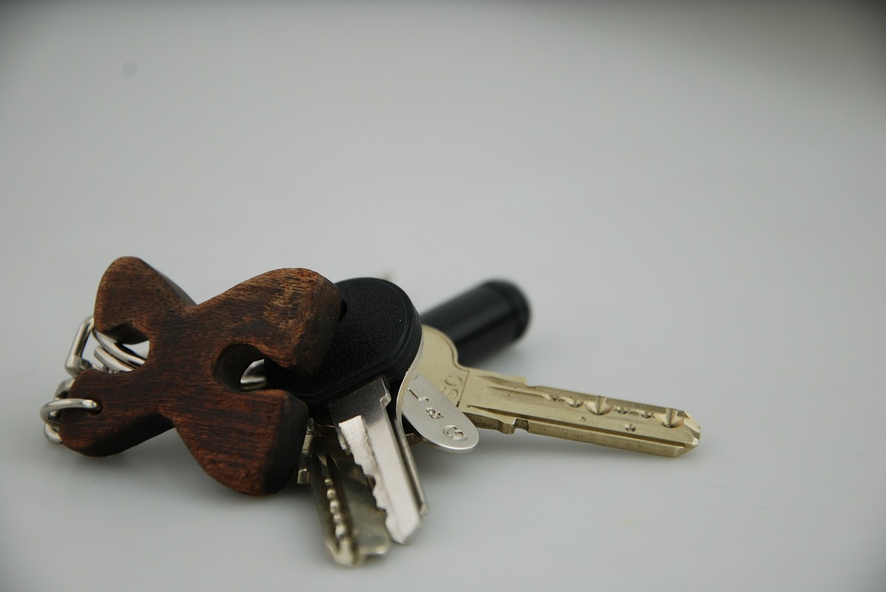 keys keychain equis free photo