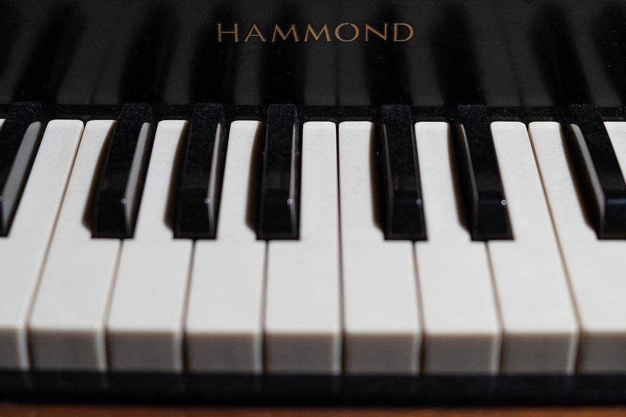 keys  piano  organ free photo