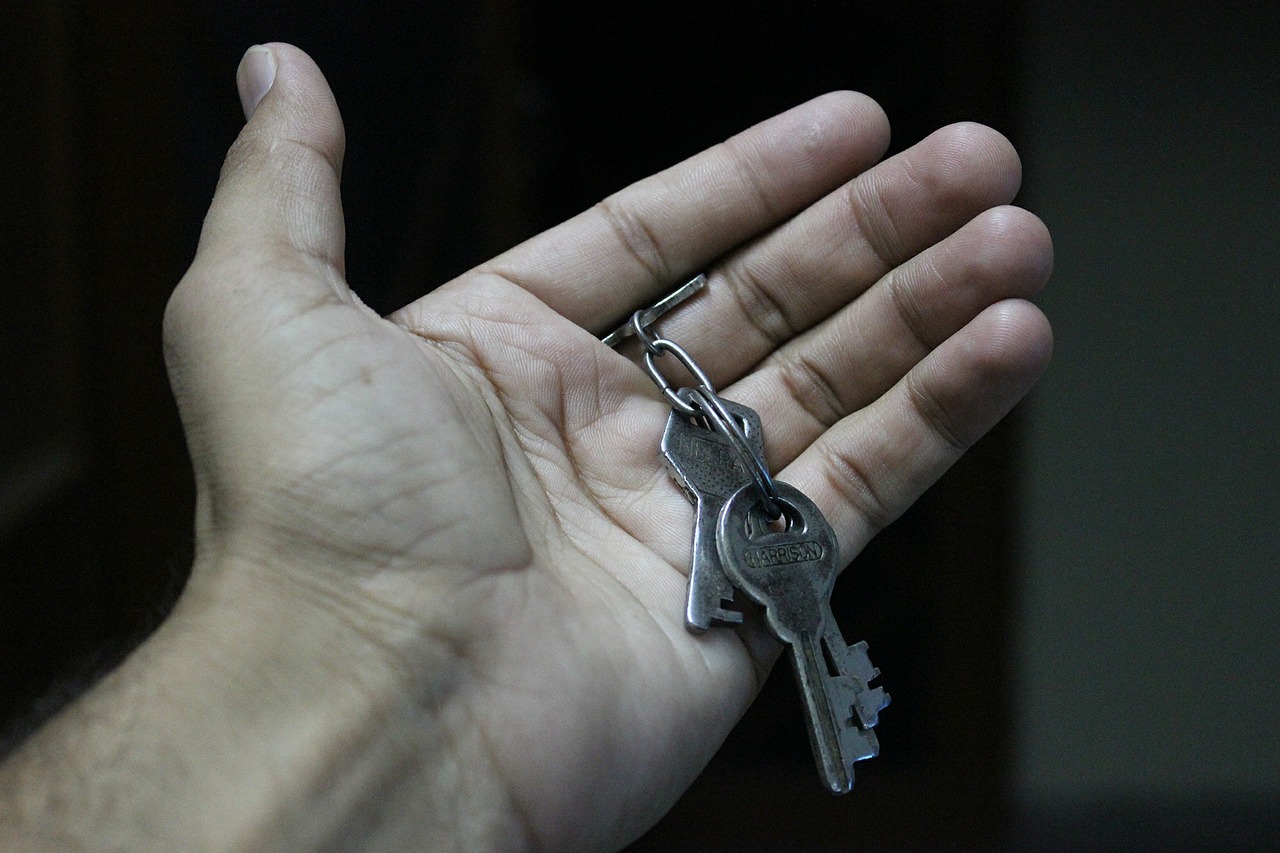 keys hand open free photo