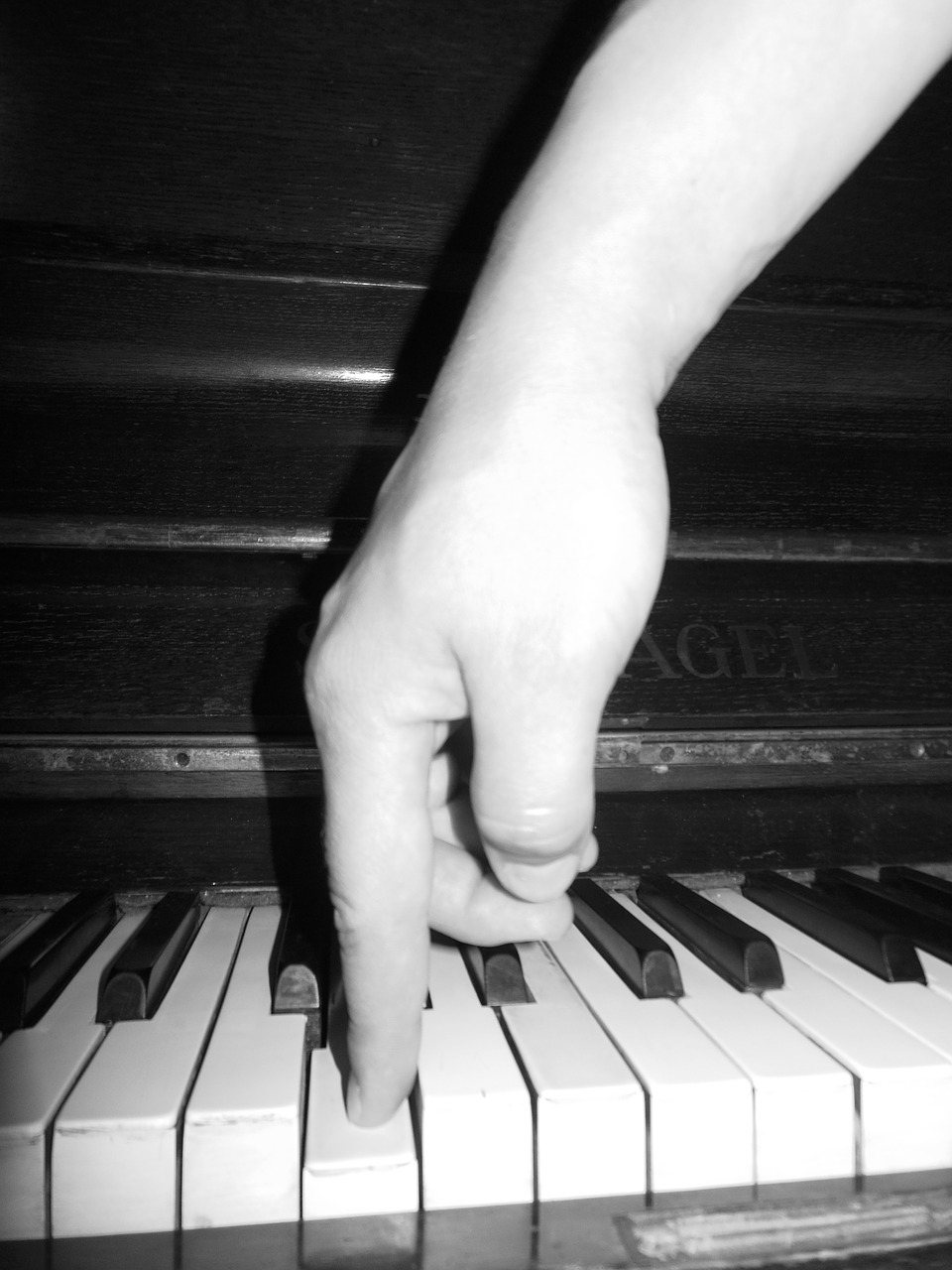 keys piano music free photo