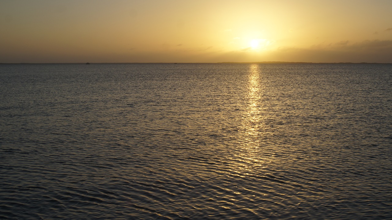 keywest florida boat free photo