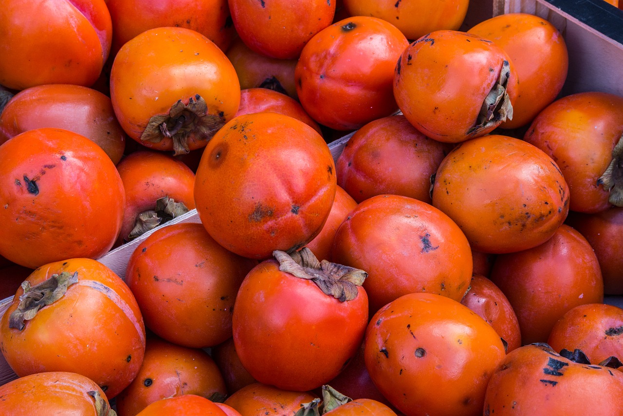 khaki food fruit free photo