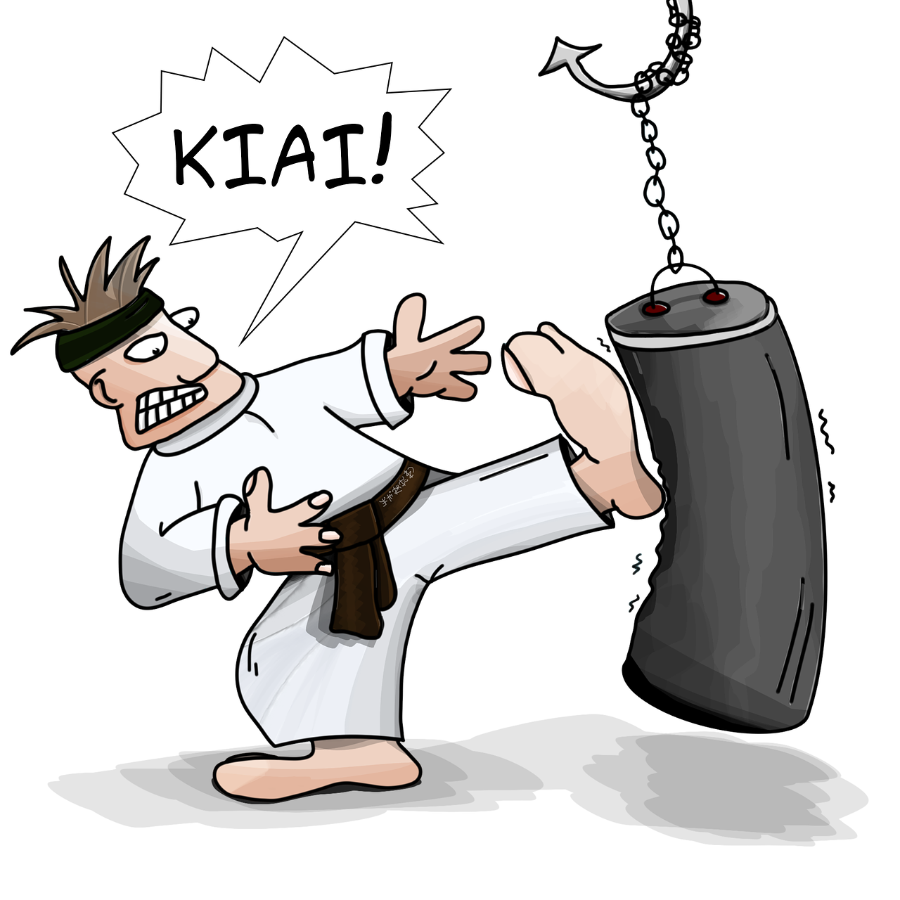 kiai karate blow free photo