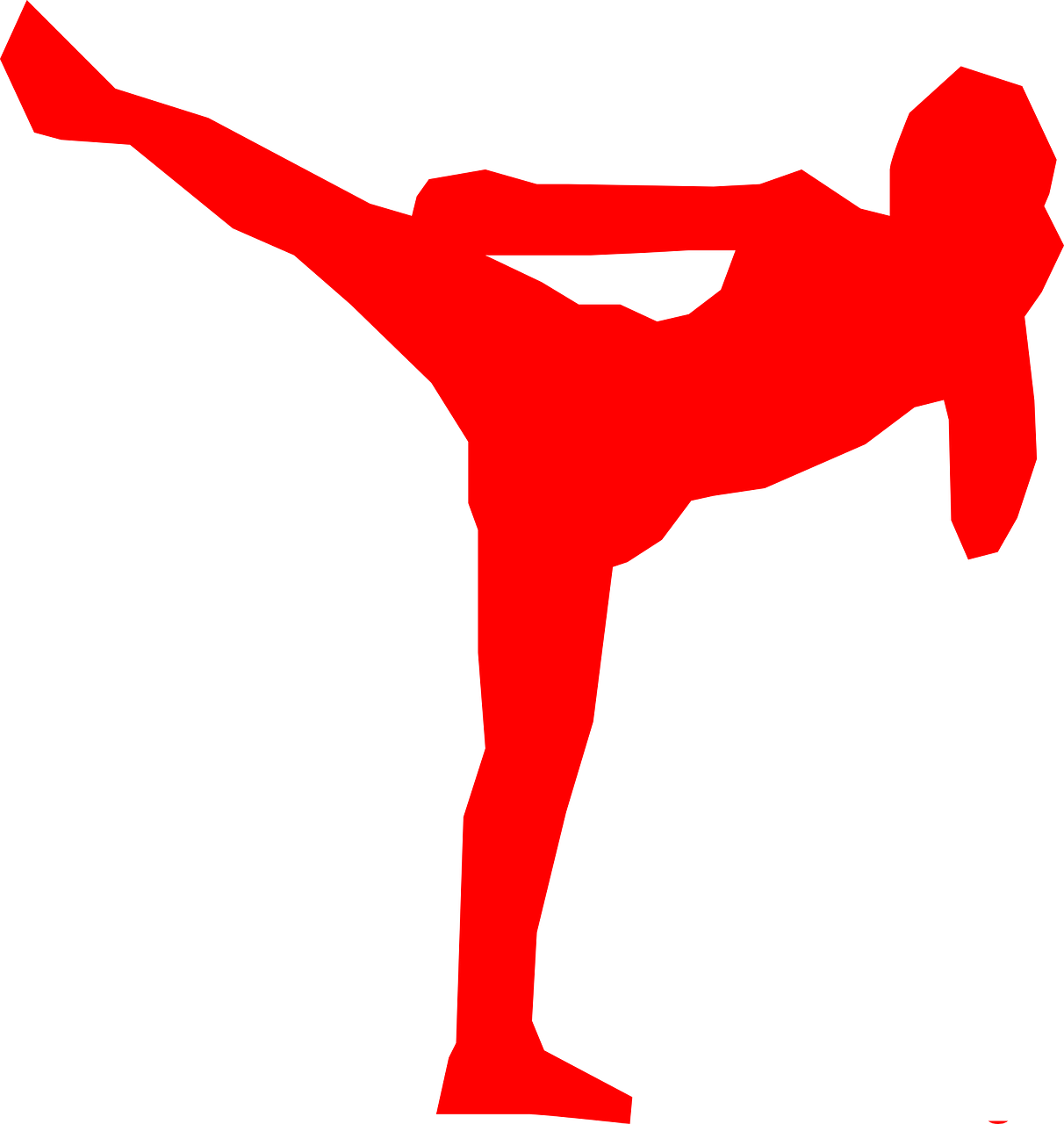 kickboxer silhouette fighter free photo