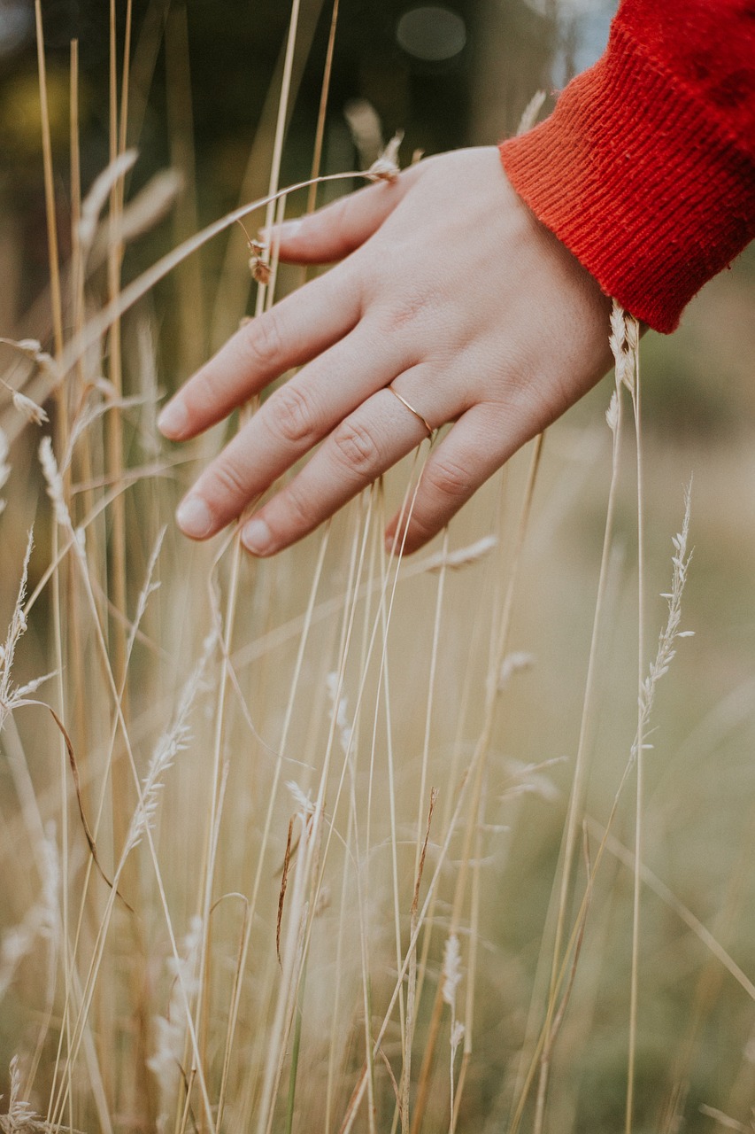 kid child hand free photo