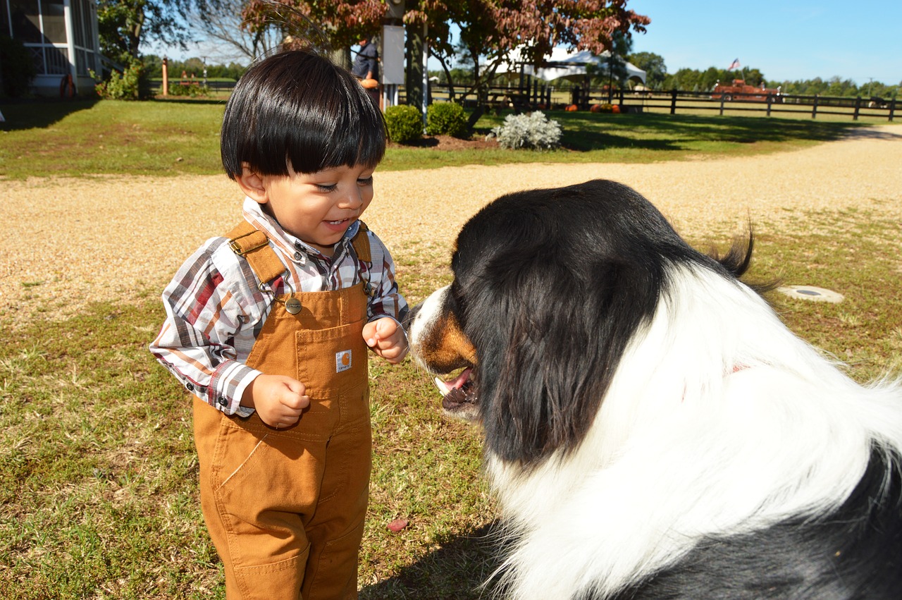 kid  dog  friend free photo