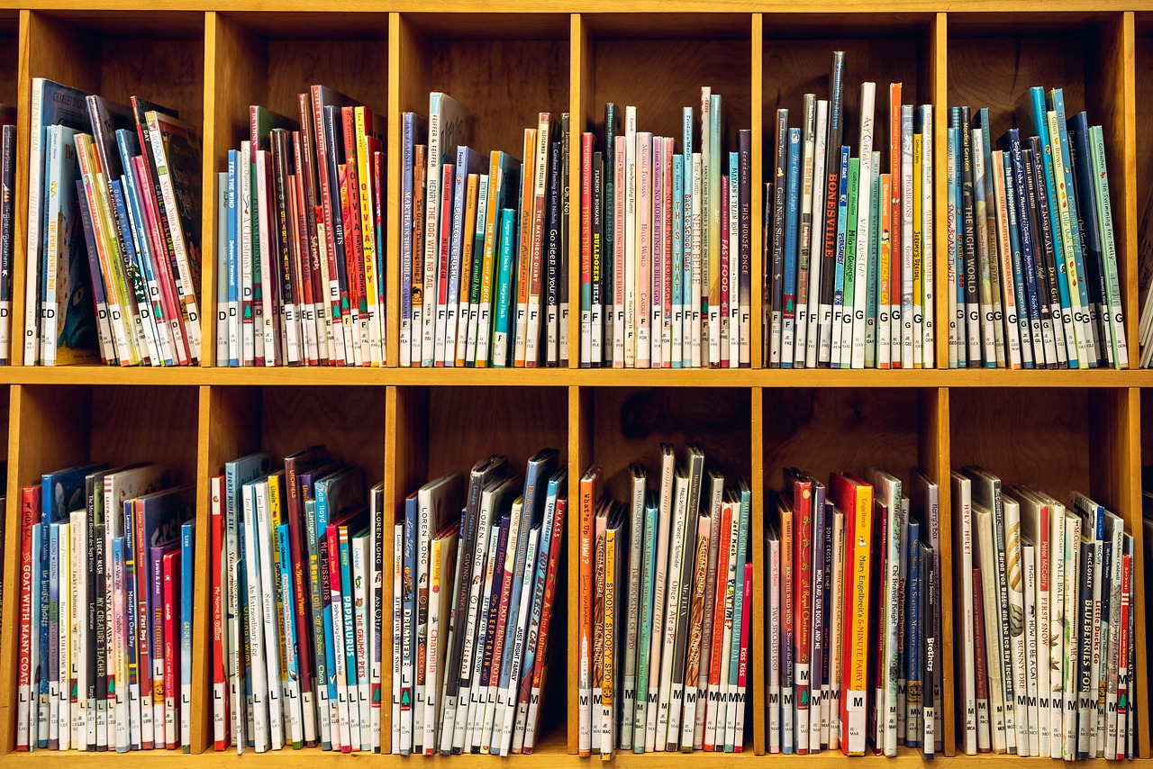 kid  shelf  books free photo