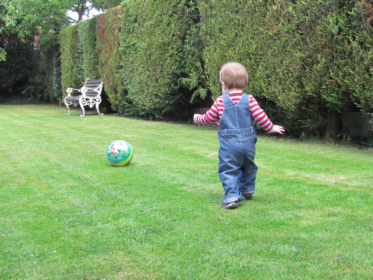 kid sport football free photo