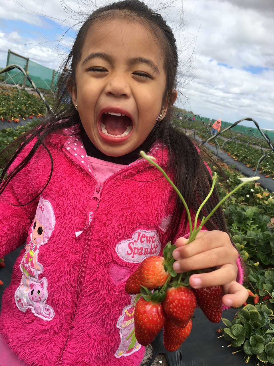 kid smiling picking strawberries kid harvest free photo