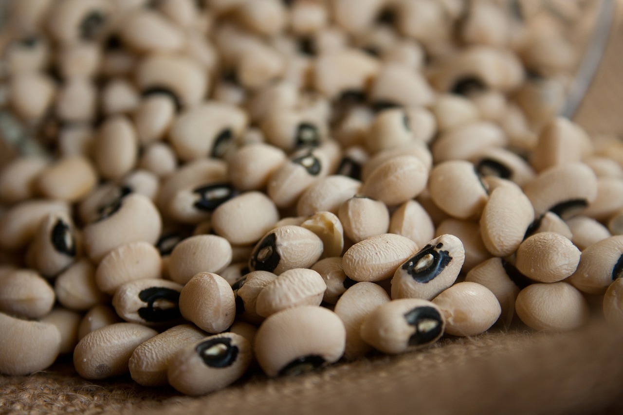 kidney beans beans dry free photo