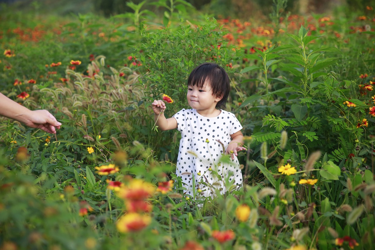 kids flower summer free photo