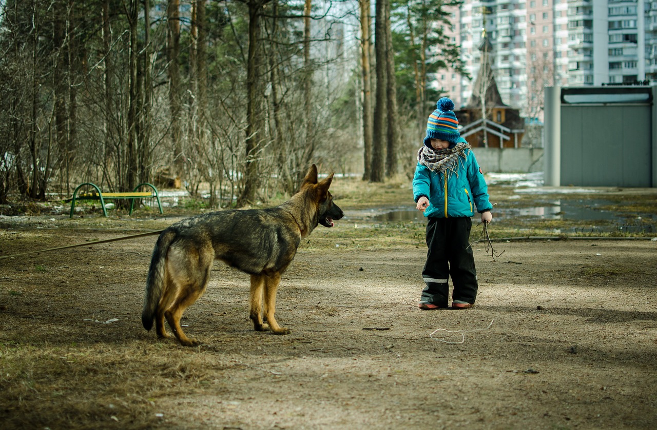 kids  people  dog free photo