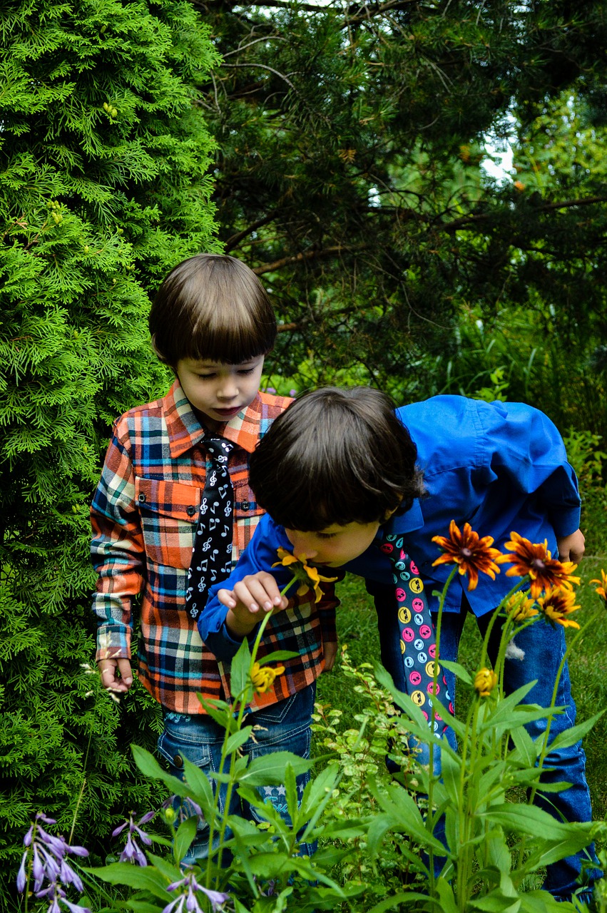 kids  garden  flowers free photo