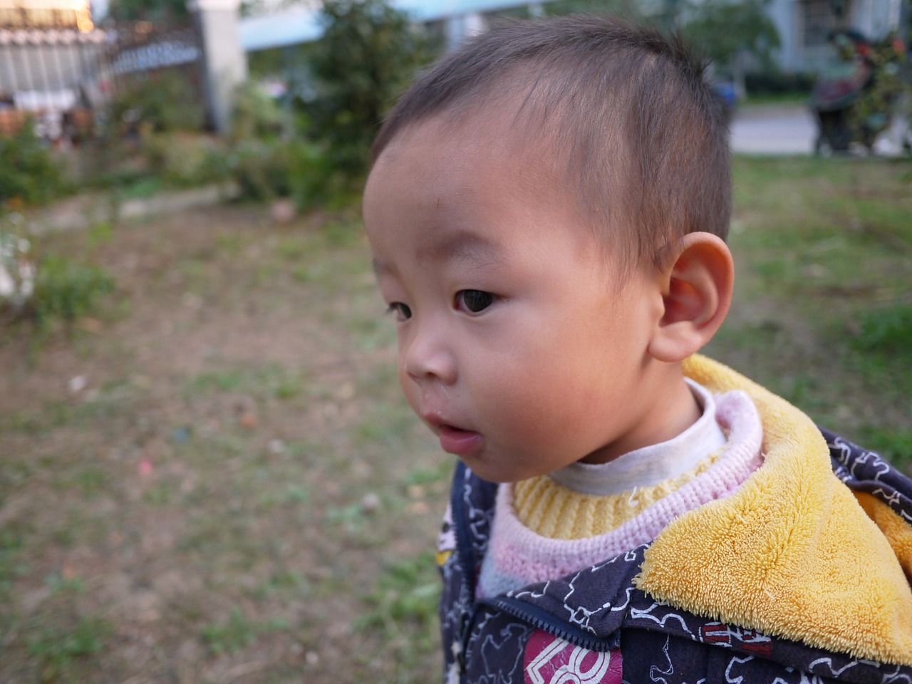 kids portrait shanghai free photo