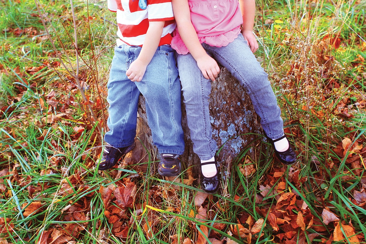kids borther and sister children autumn free photo