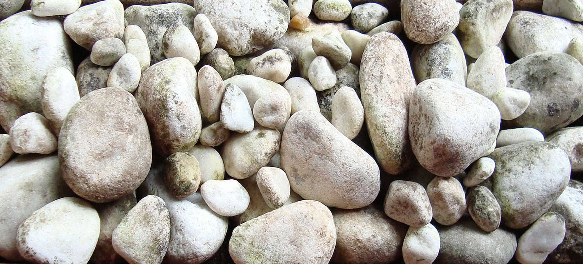 river pebbles pebbles pebbles free photo