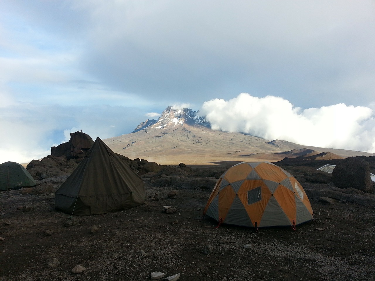 kilimanjaro africa tent free photo