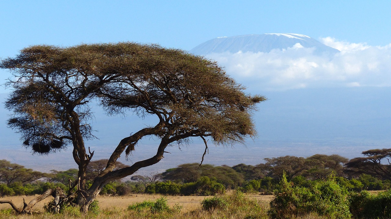 kilimanjaro mountain africa free photo