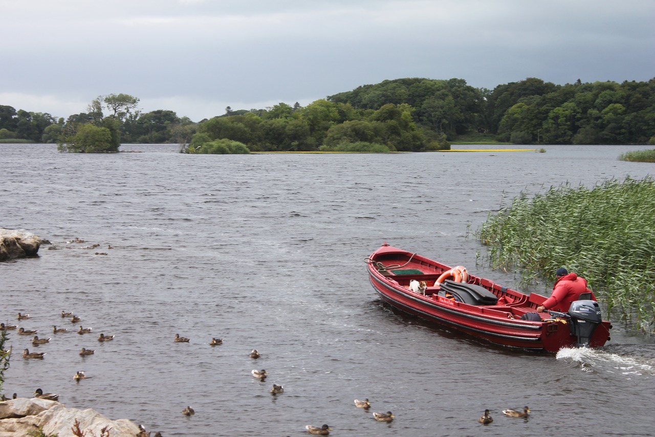 killarney lakes ireland free photo
