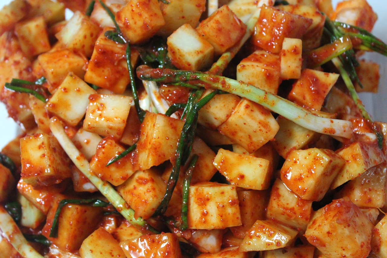 kimchi kkakdugi korean food free photo