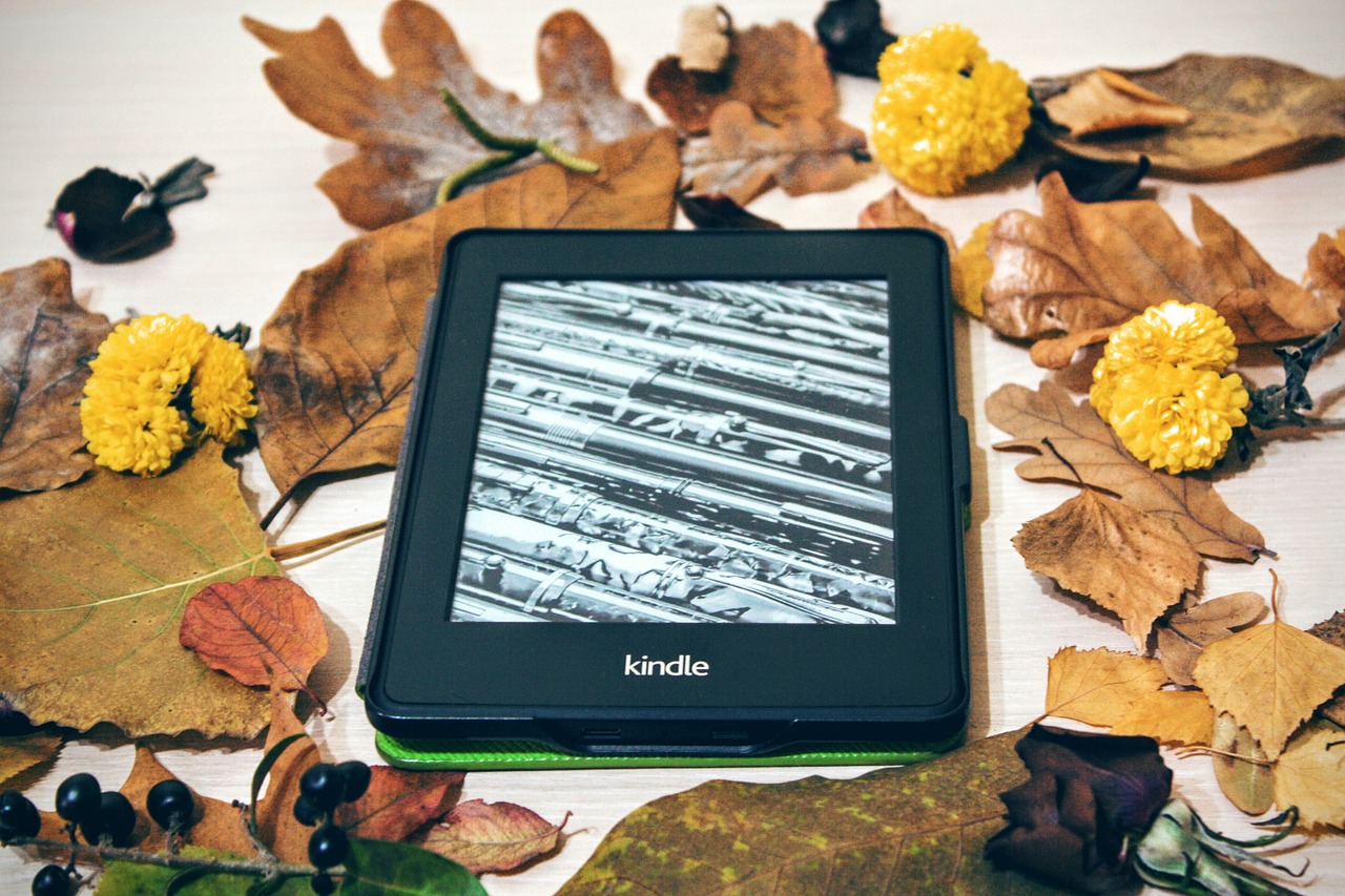 kindle pepper white reading free photo