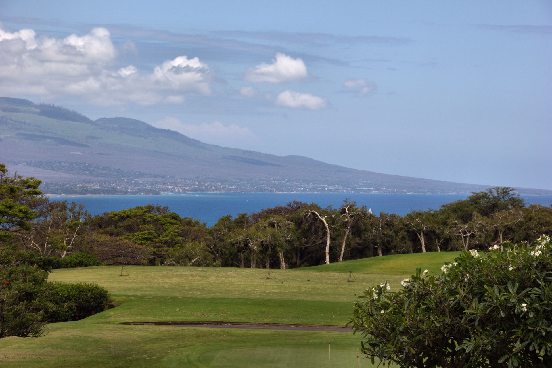 golf course maui hawaii free photo