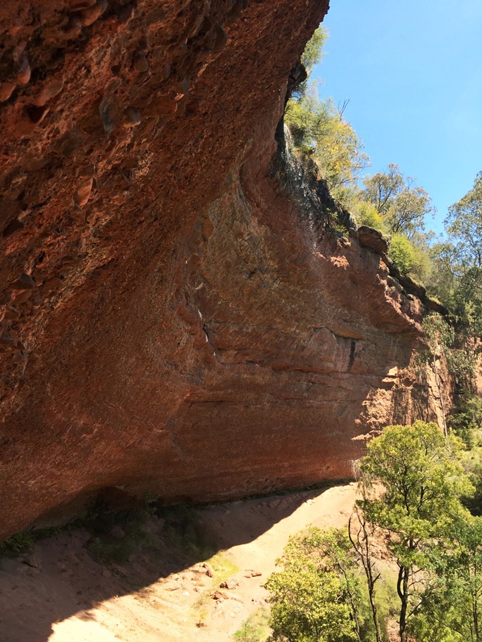 king valley victoria australia free photo