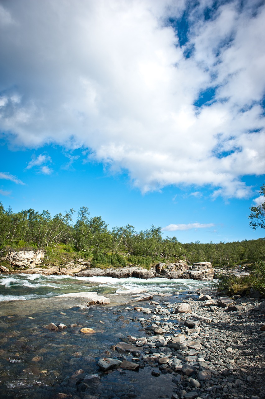 king's trail hiking river free photo