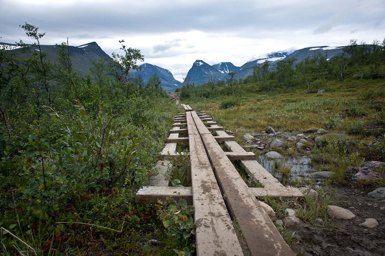 king's trail hiking river free photo