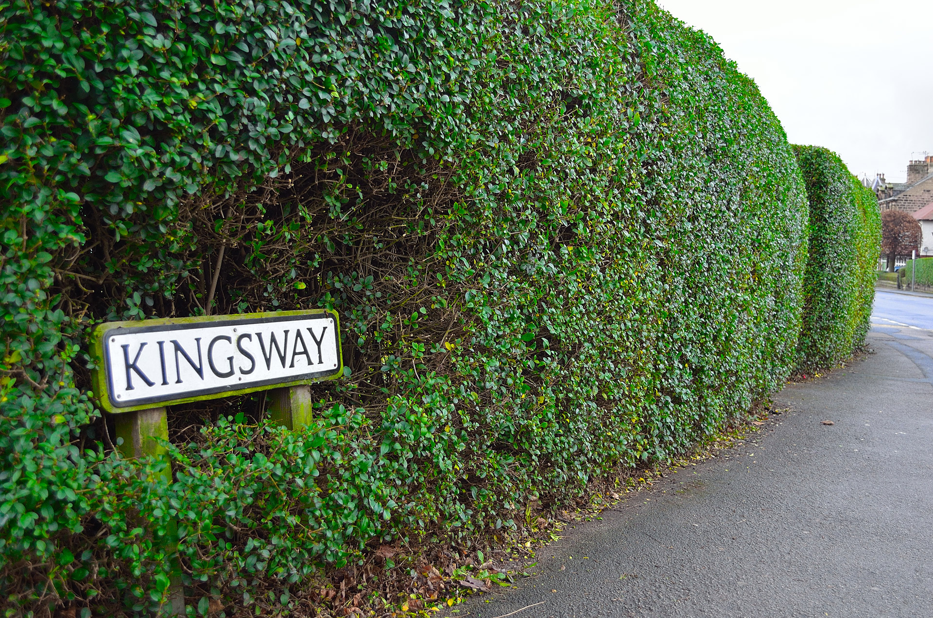 kingsway streets signs free photo