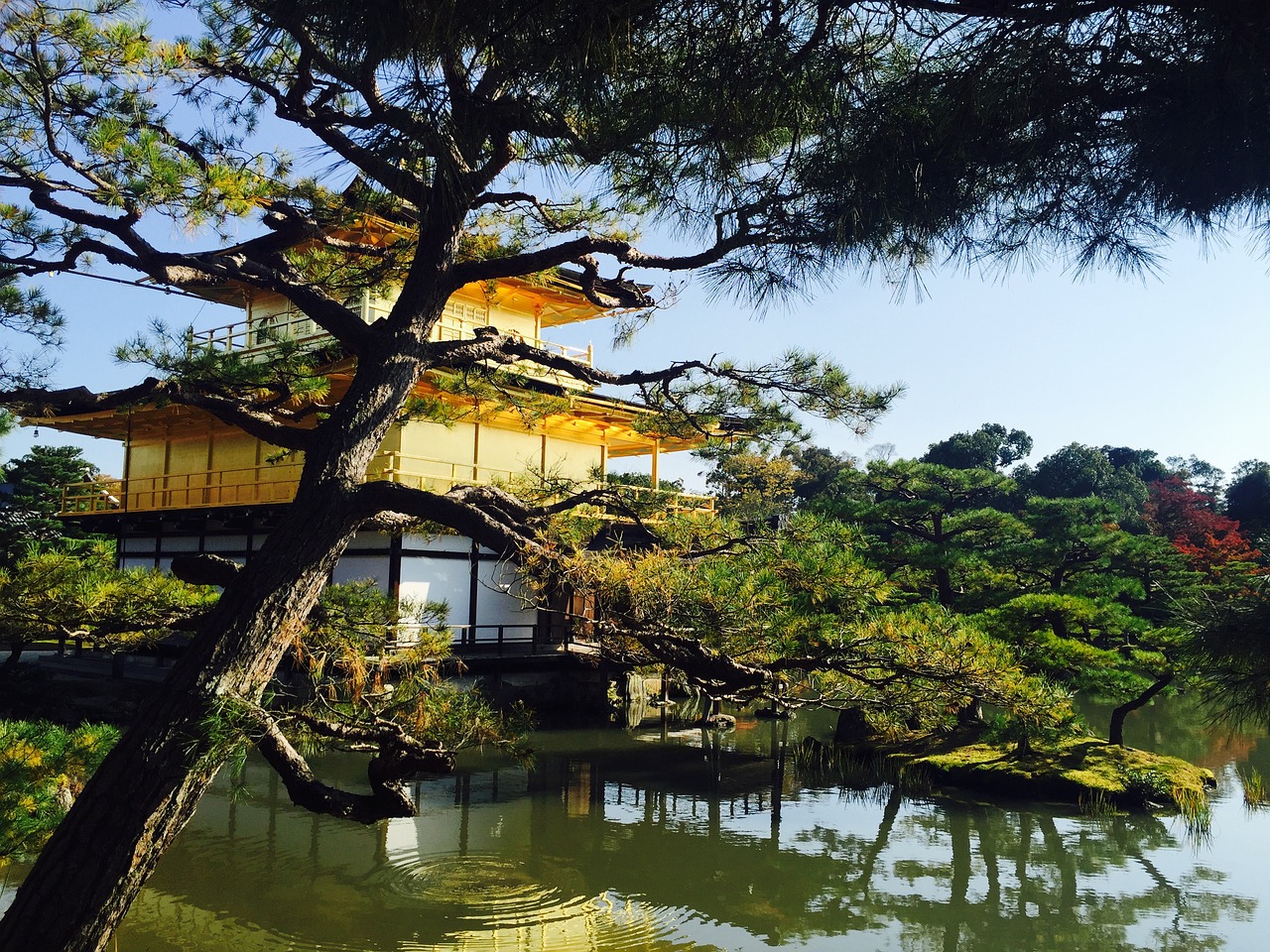 kinkaku ji kyoto japan free photo