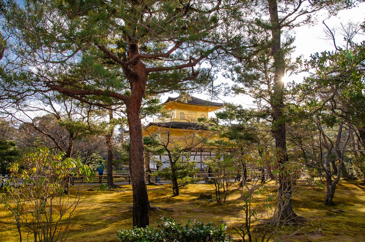 kinkaku-ji  the golden pavilion  rokuon-ji free photo