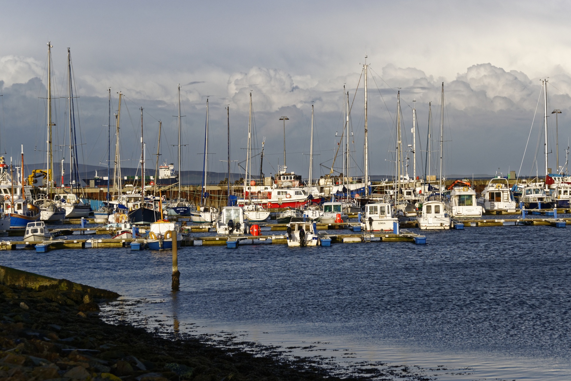 harbor harbour boats free photo