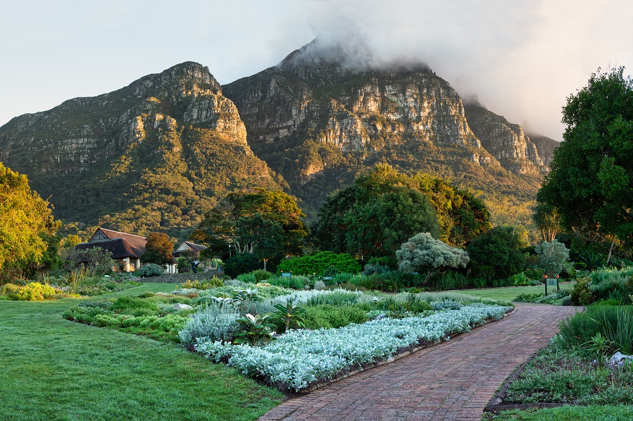 kirstenbosch  table mountain  mountain free photo