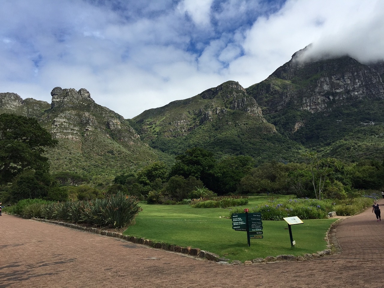 kirstenbosch gardens newlands free photo