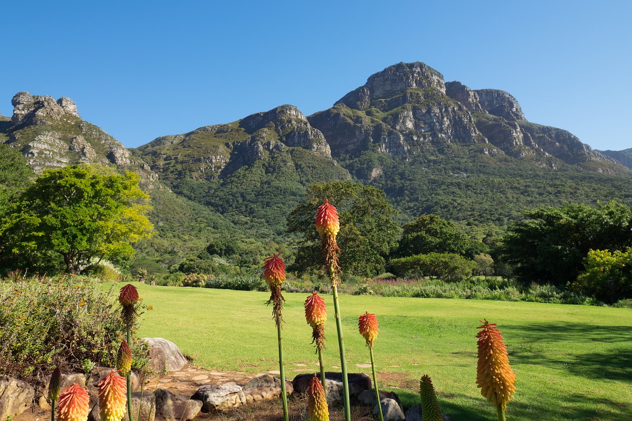 kirstenbosch botanical garden landscape mountain free photo