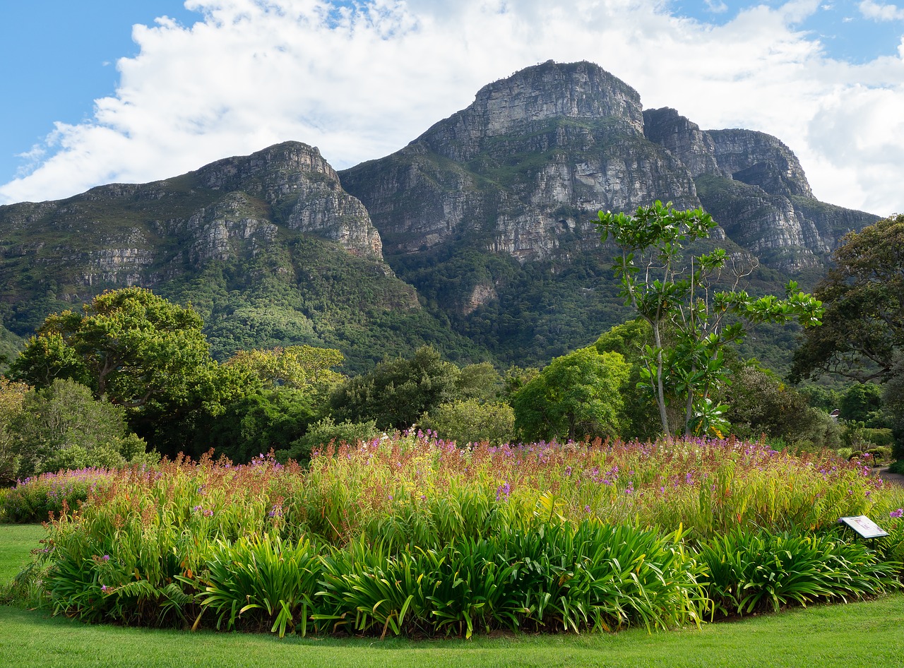 kirstenbosch botanical garden  landscape  mountain free photo