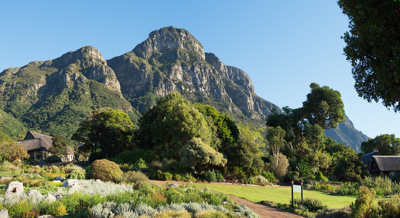 kirstenbosch botanical gardens mountain landscape free photo