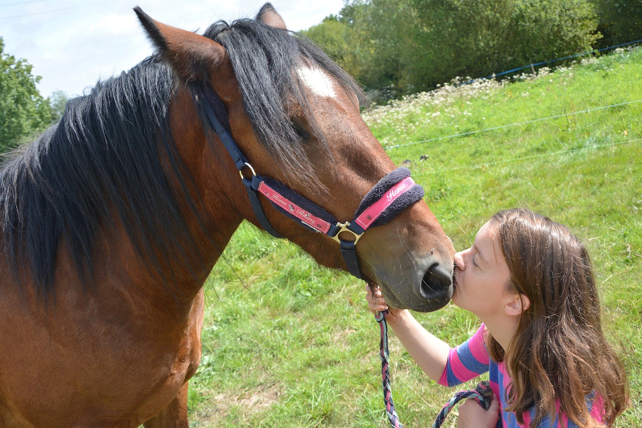 kiss horse girl free photo