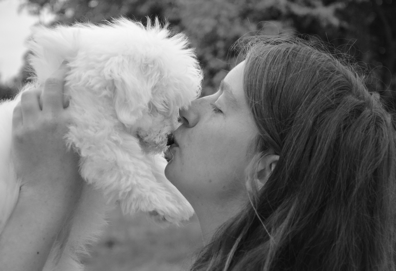 kiss dog girl free photo