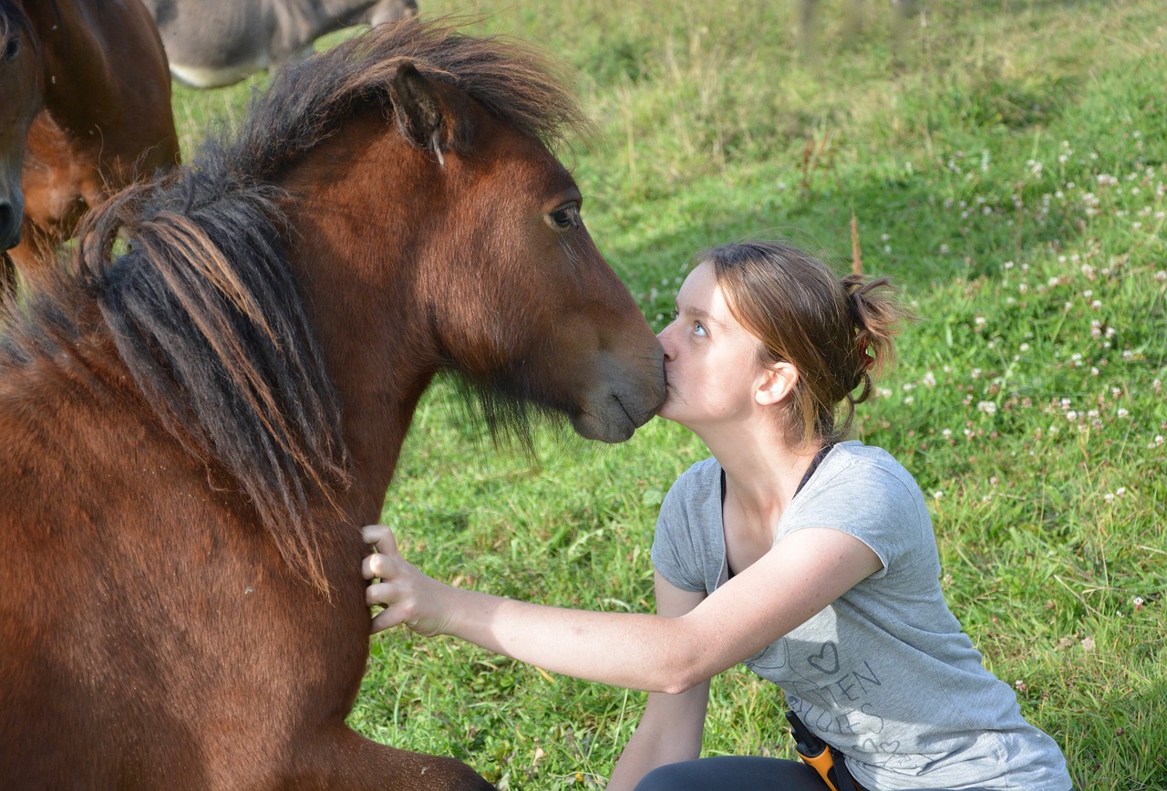 kiss shetland pony girl free photo