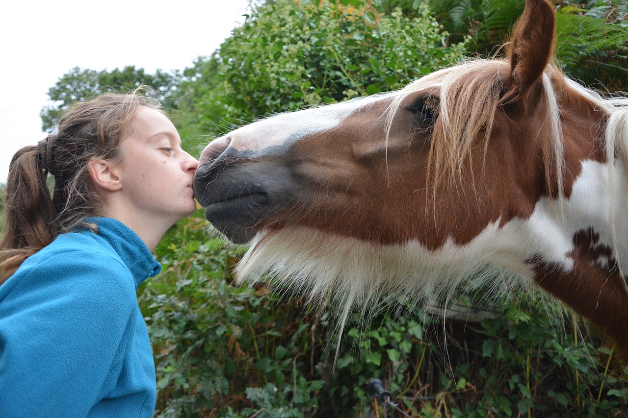 kiss horse girl free photo