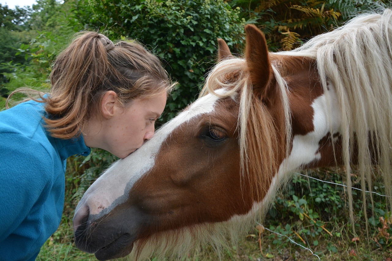 kiss horse girl free photo