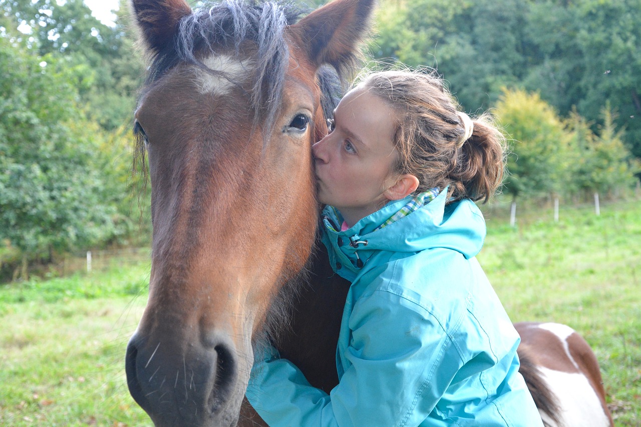 kiss kisses horse free photo