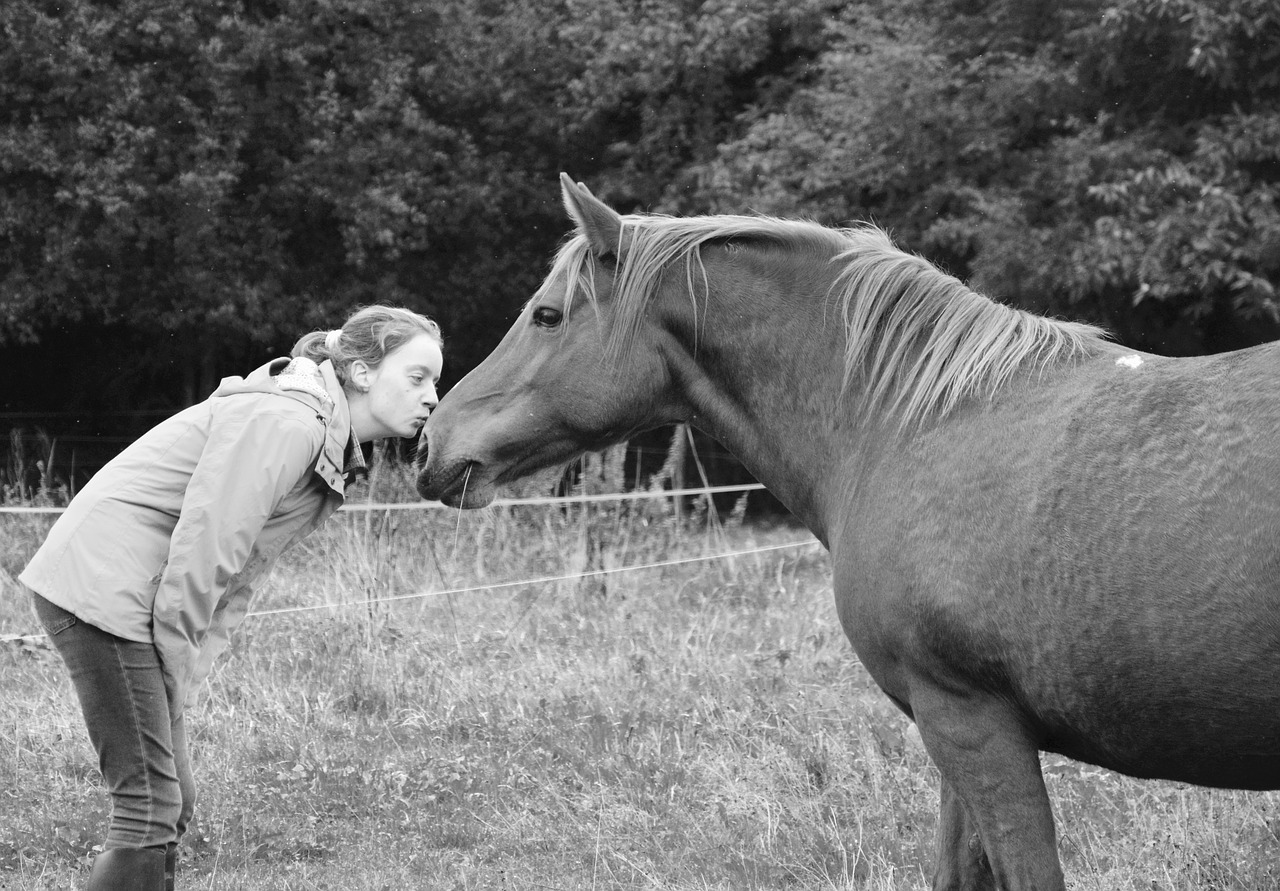 kiss kisses young girl young woman horse free photo