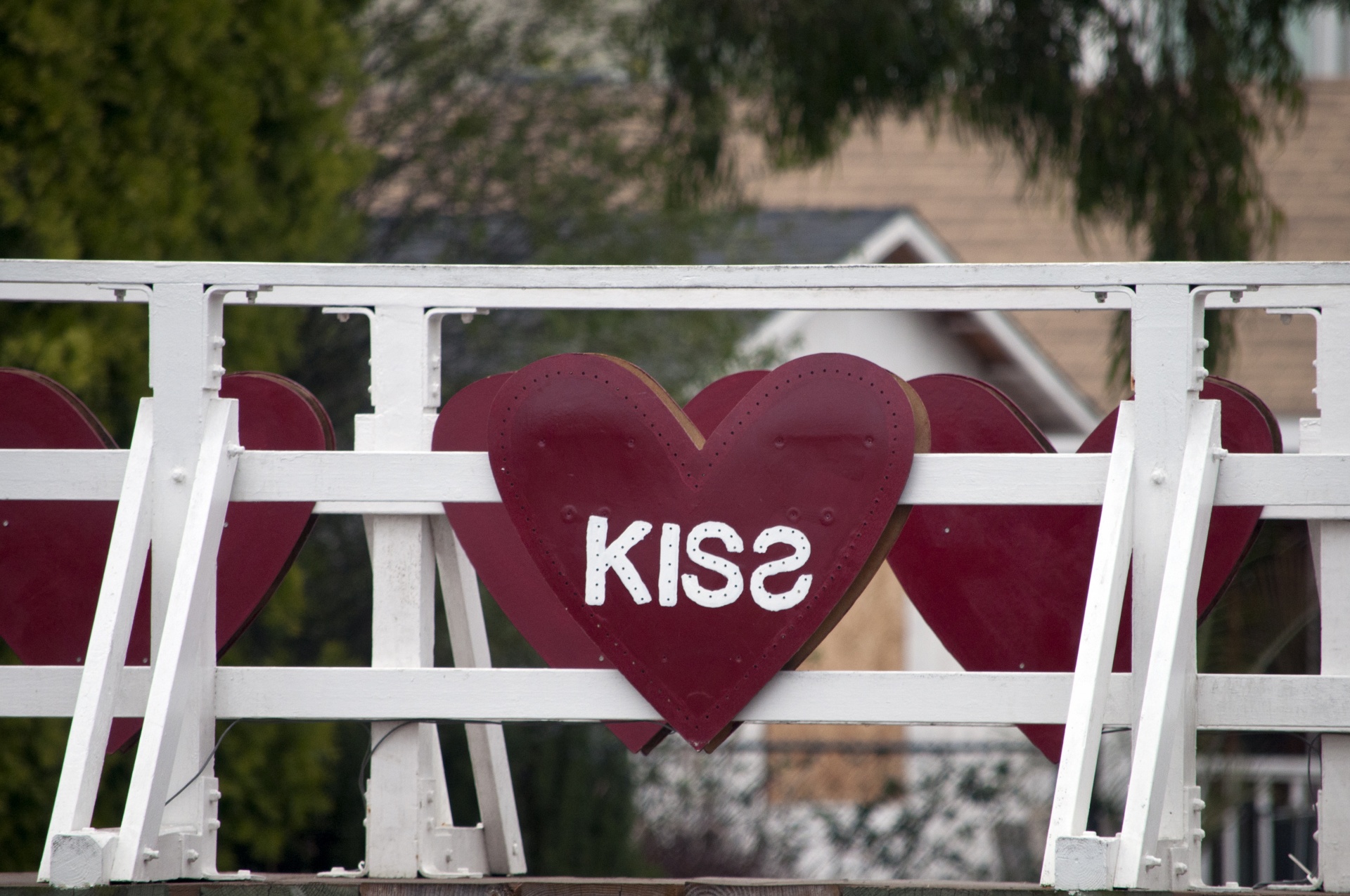 kiss kissing love free photo