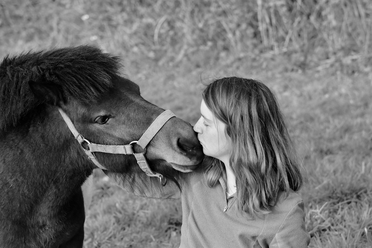 kisses  kiss  girl pony free photo