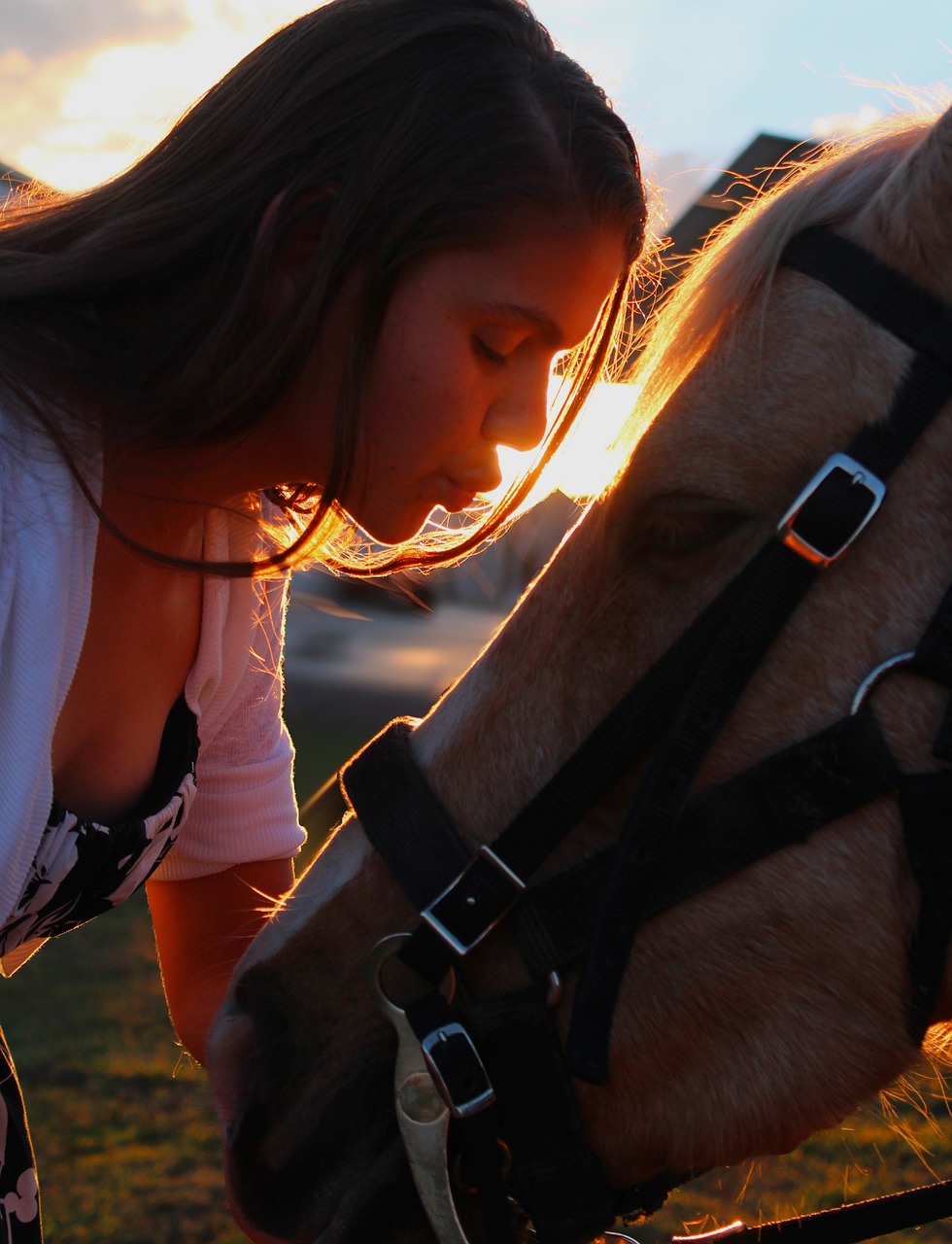 kissing horse girl free photo