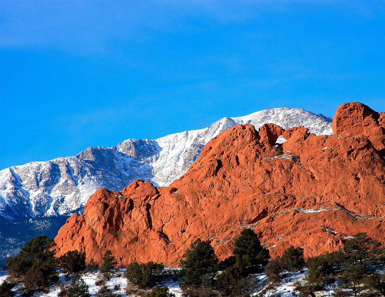 kissing camels pikes peak mountains free photo
