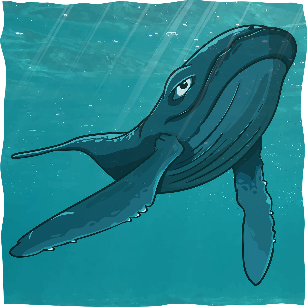 kit  sperm whale  underwater free photo
